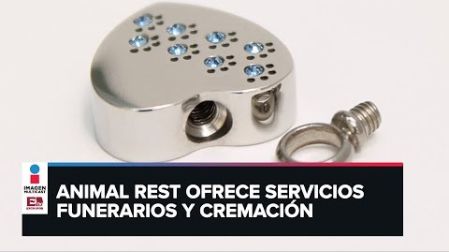 La empresa Animal Rest ofrece servicios funerarios y cremación de mascotas. 27 febrero de 2020
Te invitamos a ver el siguiente video:
Balean a tres personas en calles de Naucalpan/ Reporte nocturno
https://youtu.be/4ec9X07_VwU
COMENTA ESTE VIDEO Y COMPARTELO CON TUS AMIGOS
Para más información entra: http://www.youtube.com/excelsiortv
No olvides dejarnos tus comentarios y visitarnos en
Facebook: https://www.facebook.com/ExcelsiorMex
Twitter: https://twitter.com/Excelsior_Mex
Sitio: http://www.excelsior.com.mx/tv
Suscríbete a nuestro canal: https://www.youtube.com/channel/UClqo4ZAAZ01HQdCTlovCgkA