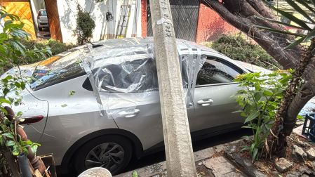 Caen varios árboles y postes