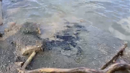 Pemex dijo desconocer la causa de la coloración oscura en el río Pánuco.