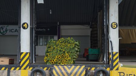 ruta del Mezcal y la Flor