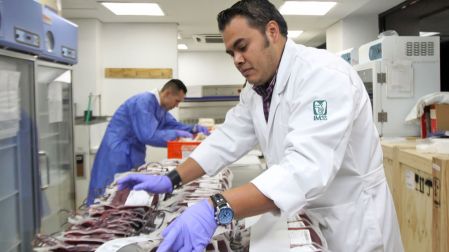 Con un promedio mensual de 10 mil donadores, el Banco Central de Sangre del CMN La Raza del IMSS opera como la unidad de mayor dimensión en México y la segunda en AL.