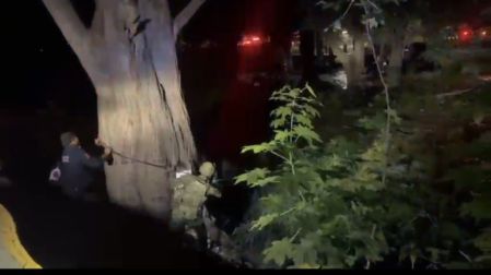 La familia se sferró a un árbol para evitar ser arrastrada.