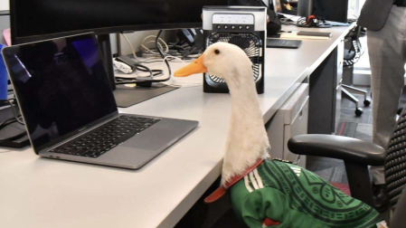 La marca "Pato Merlín" tiene registro oficial y exclusividad comercial en México.