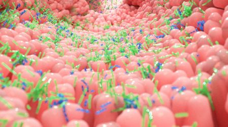 Estrés daña tu microbiota intestinal