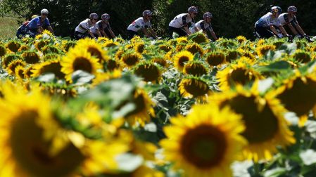 En la etapa 5 del Tour de Francia 2026, Isaac del Toro llegó en el sitio 32