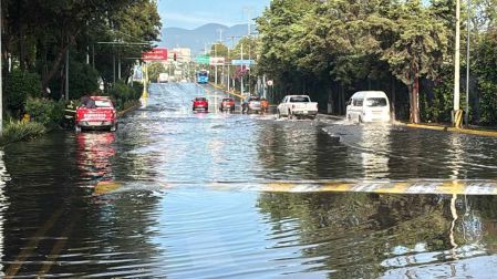 Avenida del Imán