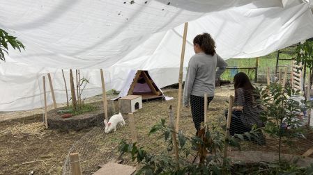 La reubicación oficial se concretó el pasado 3 de julio.