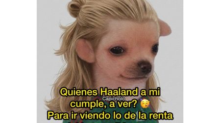 Memes de Erling Haaland.