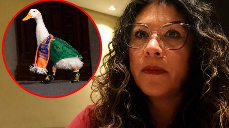Pato Merlín y su familia