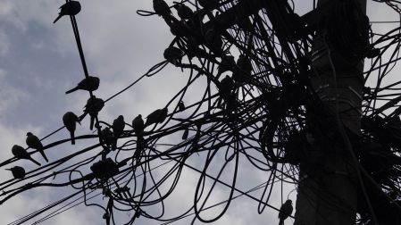 CIUDAD DE MÉXICO, 13ENERO2026.-Aves se posan sobre diversos cables eléctricos mientras la cotidianidad transcurre en la Ciudad de México.FOTO: CAMILA AYALA BENABIB / CUARTOSCURO.COM
