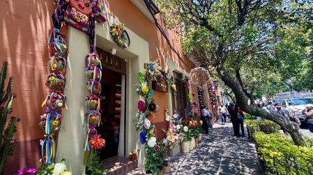 Por todo el barrio de San Ángel se desplegarán exposiciones florales, venta de plantas, talleres y gastronomía