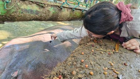 zoológico yamká