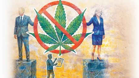 Los usuarios adultos de mariguana siguen obligados a tramitar un permiso ante la Cofepris para cultivar y consumir legalmente cannabis.