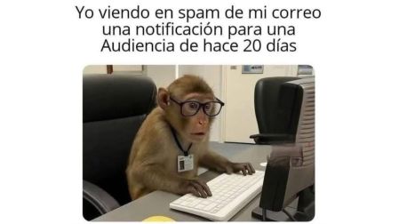 Los mejores memes del Día del Abogado