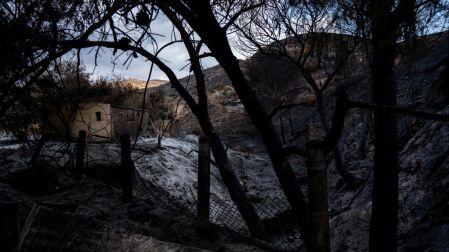 El fuego, que llegó a avanzar hasta 100 metros por minuto debido a las condiciones extremas, arrasó unas 7 mil hectáreas en un perímetro superior a los 40 kilómetros.