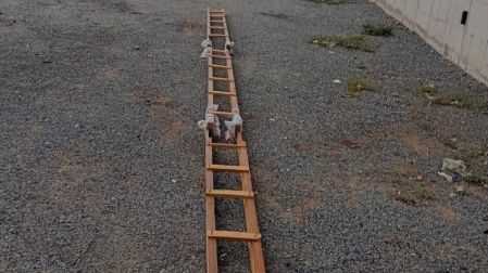 Escalera usada por reos para escapar del Cereso 2