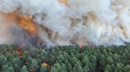 El fuego que afecta al bosque de Fontainebleau, situado al sur de la región parisina, es de "magnitud excepcional", según declaró el subprefecto de la zona.