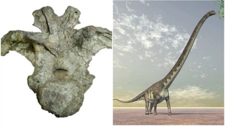 Uragasaurus kalasinensis vivió hace aproximadamente 150 millones de años durante el Jurásico Tardío.