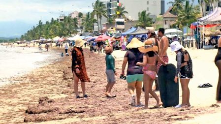 Playa en Nayarit con turistas que tienen que padecer porque hay mucha alga.