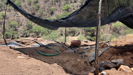 Extraían oro sin contar con la autorización en materia de impacto ambiental
