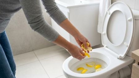 ¿Para qué sirve el truco de poner cáscara de limón en el inodoro?