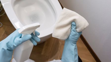 ¿Para qué sirve el truco de poner cáscara de limón en el inodoro?