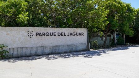 Respecto al Parque del Jaguar, la mandataria aseguró que su gobierno trabajará para encontrar soluciones a las problemáticas existentes.