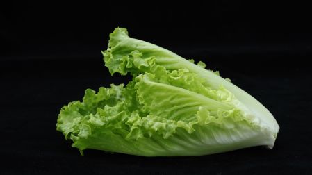Brote de ciclosporosis.