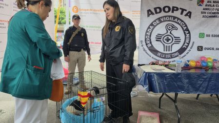 La Brigada de Vigilancia Animal recibió cinco bultos de alimento donados por la ciudadanía y por "Patotas", una perrita de tres patas rescatada por la Policía Auxiliar
