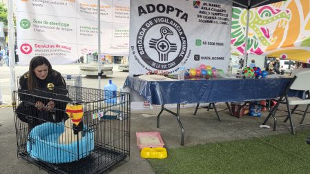 La Brigada de Vigilancia Animal recibió cinco bultos de alimento donados por la ciudadanía y por "Patotas", una perrita de tres patas rescatada por la Policía Auxiliar