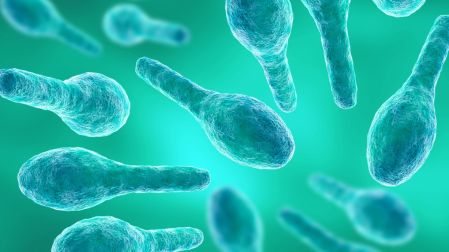 ¿En qué parte del cuerpo se aplica la vacuna de tétanos?