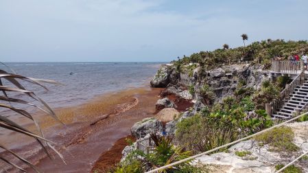 Vista de una costa rocosa con miradores de madera donde el agua del mar Caribe luce teñida de marrón por la concentración de sargazo