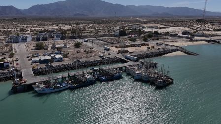 Pronatura Noroeste impulsa programas comunitarios y científicos para proteger a la vaquita marina en el Alto Golfo de California.