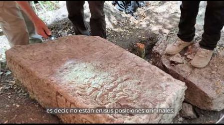 Ruinosa y virgen, con el eco de su historia suspendido por más de mil años, así aguardó Minanbé al equipo de especialistas mexicanos y eslovenos que dirige el arqueólogo Ivan Šprajc, no sin someterle a duras pruebas. Camuflada entre la maraña selvática de la biosfera de Calakmul, en Campeche, la antigua ciudad solo podía ser nombrada con esta locución en maya yucateco: “No hay camino”.
El grupo de especialistas registraron 14 estelas y altares, varios con grabados, en su mayoría dispuestos en el extremo de una calzada que conecta los sectores central y noreste del asentamiento. Minanbé configura Una zona extensamente modificada con fines agrícolas para su apogeo en el Clásico Tardío (600 a 900 d.C.), y que debió tener cierta jerarquía relacionada con esta producción y la comercialización de los excedentes. Sin embargo, abre otras incógnitas, como la posible incursión de grupos venidos del norte de la península de Yucatán que, en una época posterior, pero cercana, llegaron con la intención de alterar el discurso de poder de la ciudad abandonada.