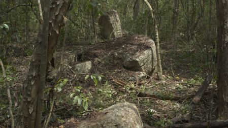 Camuflada entre la maraña selvática de la biosfera de Calakmul, en Campeche, un equipo de arqueólogos mexicanos y eslovenos descubrió el sitio maya de Minanbé.