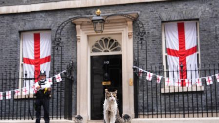 Chief Mouser to the Cabinet Office Larry the cat sitting in front of 10 Downing Street, London, decked out in St George's Cross flags ahead of England playing Argentina in the World Cup semi-final on Wednesday in Atlanta, USA. Picture date: Wednesday July 15, 2026.
