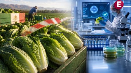 Lechugas mexicanas sometidas a pruebas de laboratorio después de que la FDA descartó que fueran el origen del brote de Cyclospora.