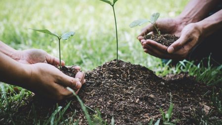 Realizan jornadas de reforestación y apoyo escolar; más de 4 mil 500 voluntarios participan.