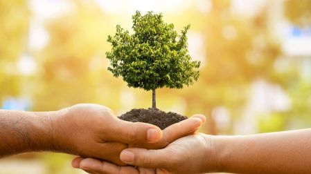 Realizan jornadas de reforestación y apoyo escolar; más de 4 mil 500 voluntarios participan.