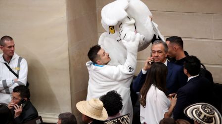 elefante-blanco-senador