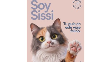 Museo del Gato CDMX