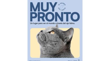 Museo del Gato CDMX