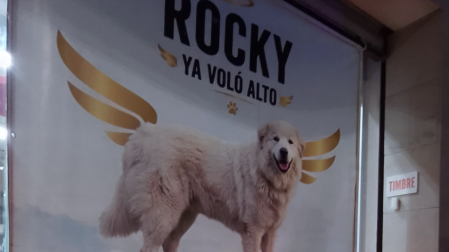 En la veterinaria donde fue atendido Rocky se encendieron veladoras como una luz de esperanza a la memoria del perro.