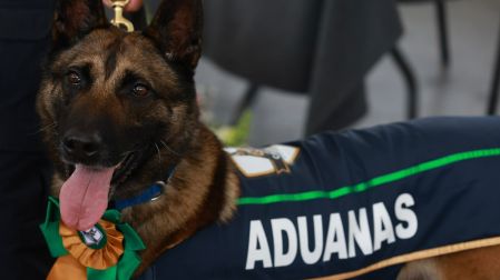 CIUDAD DE MÉXICO, 06 DE AGOSTO DE 2026. DURANTE LA CEREMONIA DE RETIRO DE OSLO, OWEN, NIXON, BOSCO PERROS DETECTORES DE ADUANA DEL AICM.