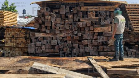 Entre la madera localizada se identificaron especies de oyamel, pino, cedro rojo, salam y zapote