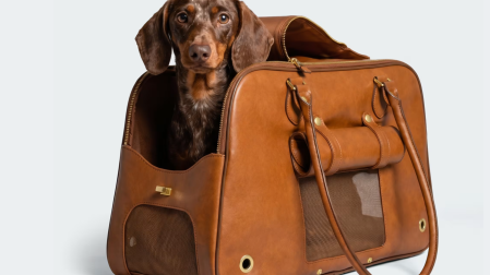 Adidas también tiene transportadoras para mascotas.