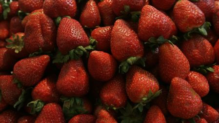 Fresas