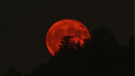 ¿Cómo y cuándo ver EN VIVO el Eclipse lunar de agosto 2026?