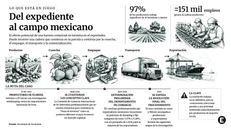 Infografía sobre el impacto potencial del conflicto comercial en la cadena mexicana de la fresa: productor, cosecha, empaque, transporte y exportación; incluye 97% de productores con hasta 10 hectáreas, cerca de 151 mil empleos y la cronología del caso entre 2025 y 2027.