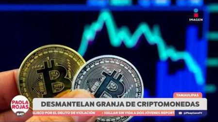 - Autoridades desmantelan una granja de criptomonedas en #Tamaulipas
- #Segob visitó Guerrero para presentar el “Plan Maestro”
- #FGR busca asegurar recursos relacionados con Hernán “N”

#NoticiasImagen #PaolaRojasDPC 

De Pisa y Corre con Paola Rojas de lunes a viernes a las 8:00 am por Imagen Televisión. 

Visita también nuestra página www.imagentv.com

O en las redes De Pisa y Corre: 

Instagram: https://www.instagram.com/depisaycorretv
TikTok: https://www.tiktok.com/@depisaycorretv  
X: https://twitter.com/PisayCorreTV 
Facebook: https://facebook.com/depisaycorretv

O en nuestras redes de Imagen Noticias:

Instagram: https://www.instagram.com/imagentvnoticias
TikTok: https://www.tiktok.com/@imagennoticias   
X: https://twitter.com/imagentvmex 
Facebook: https://facebook.com/ImagenTVNoticias

¡Déjanos tus comentarios, da like, comparte y suscríbete!